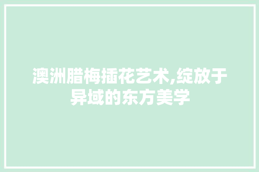 澳洲腊梅插花艺术,绽放于异域的东方美学