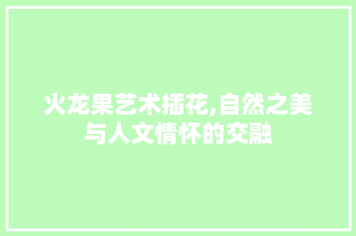 火龙果艺术插花,自然之美与人文情怀的交融 番茄种植技巧