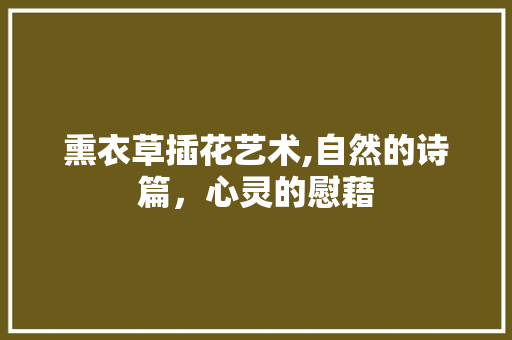 熏衣草插花艺术,自然的诗篇，心灵的慰藉 花朵知识