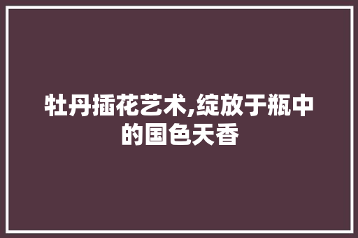 牡丹插花艺术,绽放于瓶中的国色天香