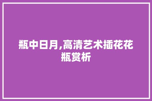 瓶中日月,高清艺术插花花瓶赏析 土壤施肥