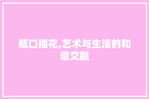 瓶口插花,艺术与生活的和谐交融 种植技巧