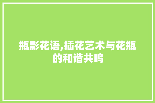 瓶影花语,插花艺术与花瓶的和谐共鸣 番茄种植技巧