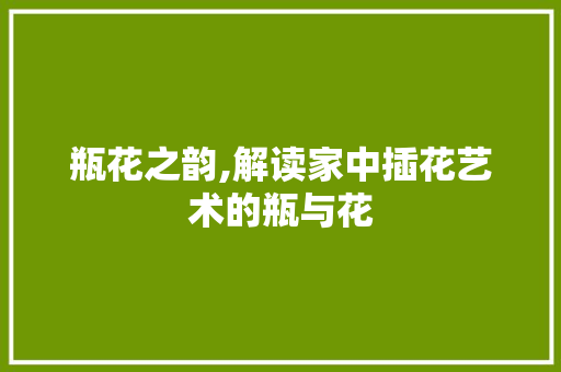 瓶花之韵,解读家中插花艺术的瓶与花