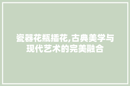 瓷器花瓶插花,古典美学与现代艺术的完美融合 种植技巧