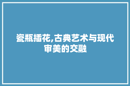 瓷瓶插花,古典艺术与现代审美的交融