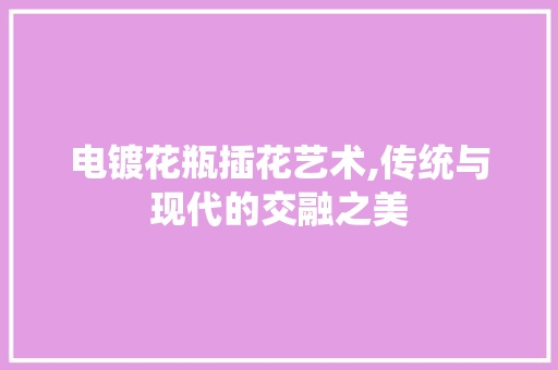 电镀花瓶插花艺术,传统与现代的交融之美 农业常识