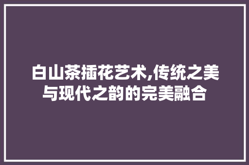 白山茶插花艺术,传统之美与现代之韵的完美融合 种植技巧
