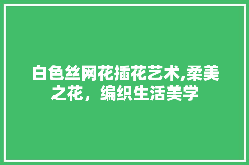 白色丝网花插花艺术,柔美之花，编织生活美学
