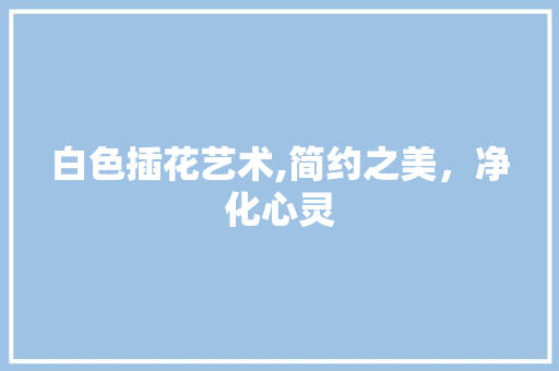 白色插花艺术,简约之美，净化心灵 种植技巧