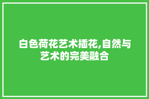 白色荷花艺术插花,自然与艺术的完美融合 植物种类