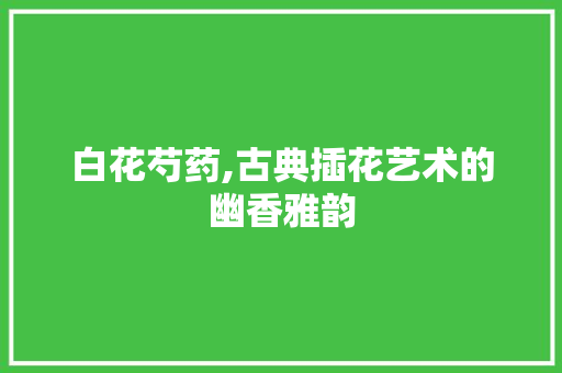 白花芍药,古典插花艺术的幽香雅韵