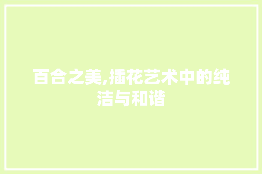 百合之美,插花艺术中的纯洁与和谐