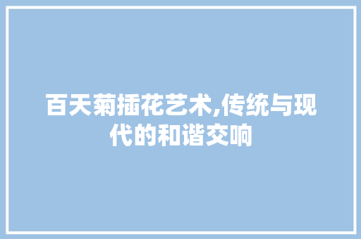 百天菊插花艺术,传统与现代的和谐交响 花朵知识