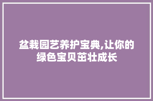 盆栽园艺养护宝典,让你的绿色宝贝茁壮成长
