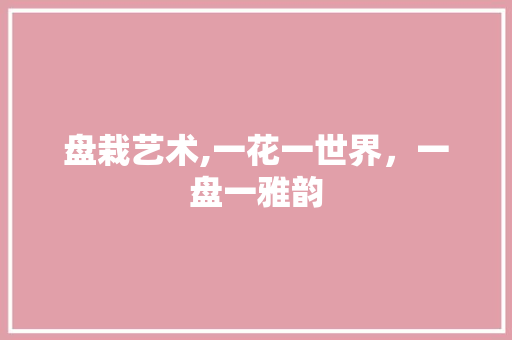 盘栽艺术,一花一世界，一盘一雅韵 种植技巧
