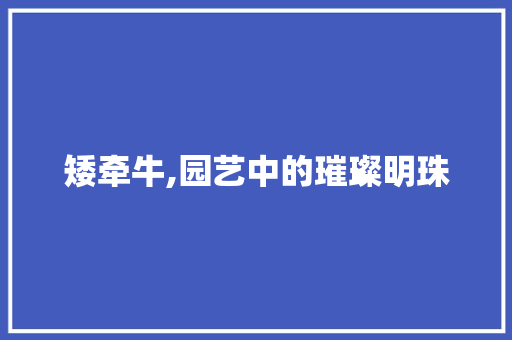 矮牵牛,园艺中的璀璨明珠
