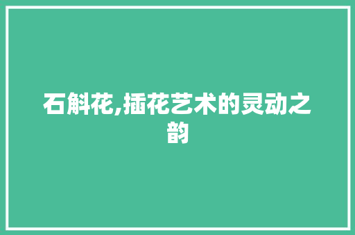 石斛花,插花艺术的灵动之韵 植物种类