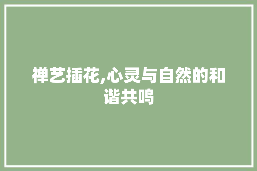 禅艺插花,心灵与自然的和谐共鸣 花朵知识