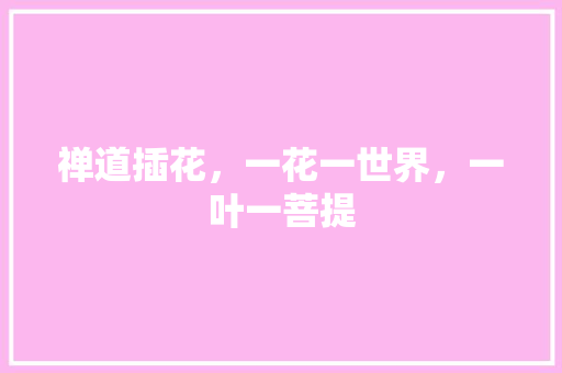 禅道插花，一花一世界，一叶一菩提 番茄种植技巧