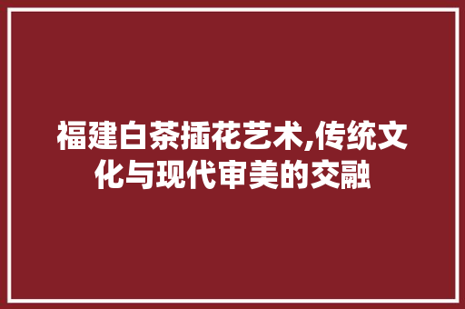 福建白茶插花艺术,传统文化与现代审美的交融