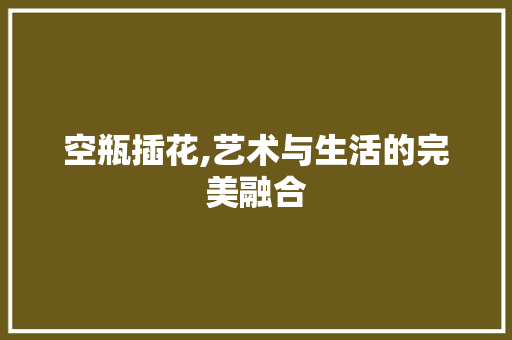 空瓶插花,艺术与生活的完美融合 番茄种植技巧
