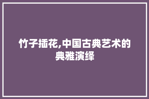 竹子插花,中国古典艺术的典雅演绎