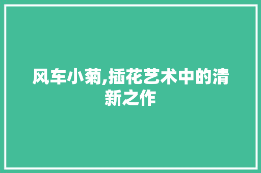 风车小菊,插花艺术中的清新之作