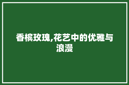 香槟玫瑰,花艺中的优雅与浪漫