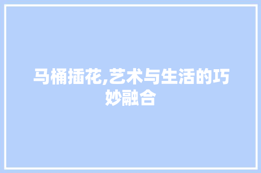 马桶插花,艺术与生活的巧妙融合
