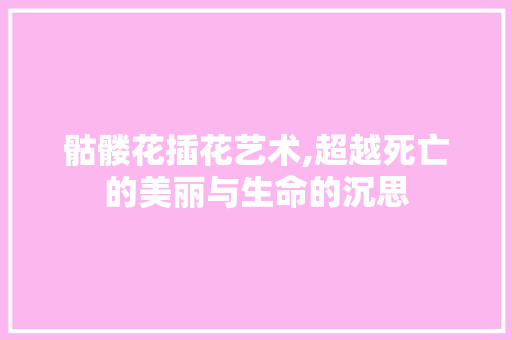 骷髅花插花艺术,超越死亡的美丽与生命的沉思