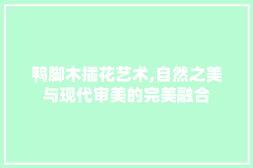 鸭脚木插花艺术,自然之美与现代审美的完美融合