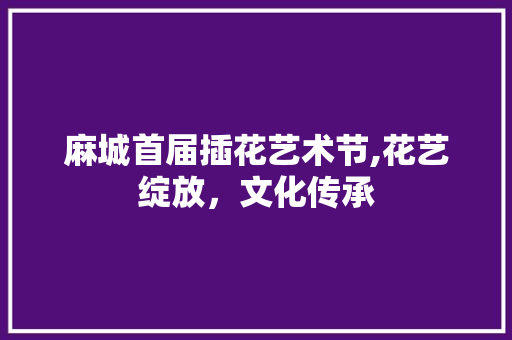 麻城首届插花艺术节,花艺绽放，文化传承