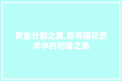 黄金分割之美,探寻插花艺术中的和谐之美
