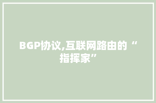 BGP协议,互联网路由的“指挥家”