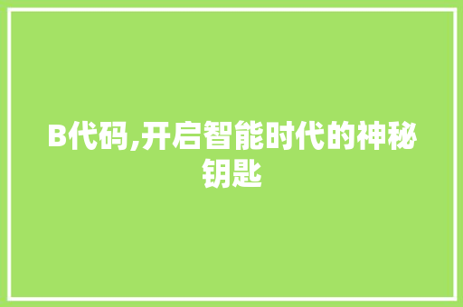 B代码,开启智能时代的神秘钥匙