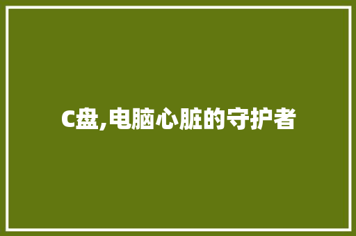 C盘,电脑心脏的守护者