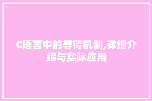 C语言中的等待机制,详细介绍与实际应用