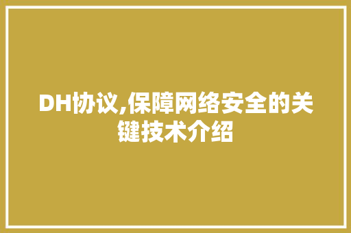 DH协议,保障网络安全的关键技术介绍