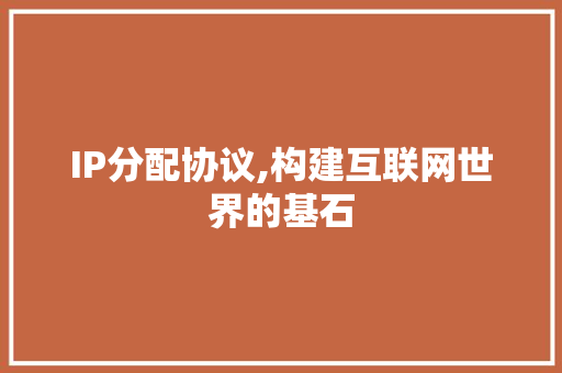 IP分配协议,构建互联网世界的基石