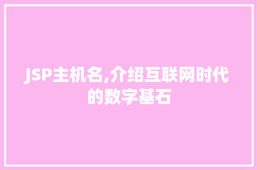 JSP主机名,介绍互联网时代的数字基石
