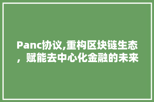 Panc协议,重构区块链生态,赋能去中心化金融的未来 Panc协议,重构区块链生态,赋能去中心化金融的未来