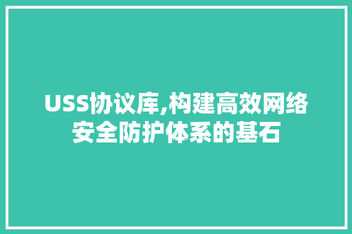 USS协议库,构建高效网络安全防护体系的基石