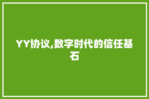 YY协议,数字时代的信任基石