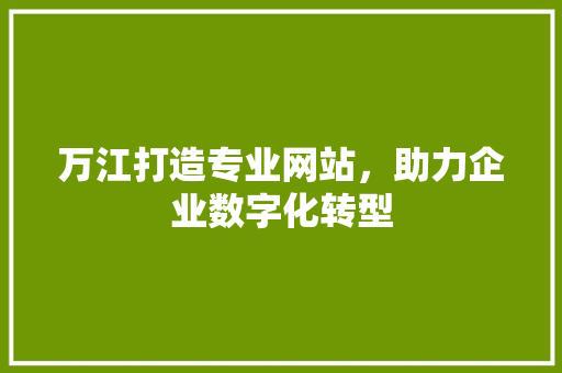 万江打造专业网站，助力企业数字化转型