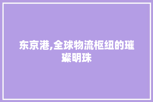东京港,全球物流枢纽的璀璨明珠