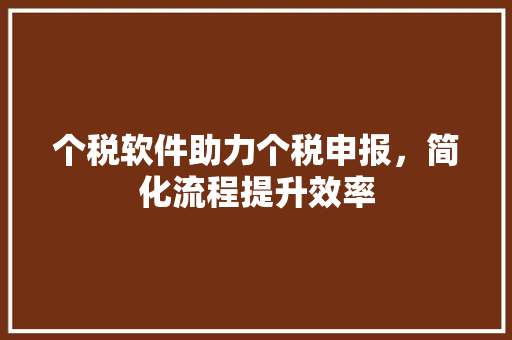 个税软件助力个税申报，简化流程提升效率