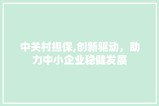 中关村担保,创新驱动，助力中小企业稳健发展