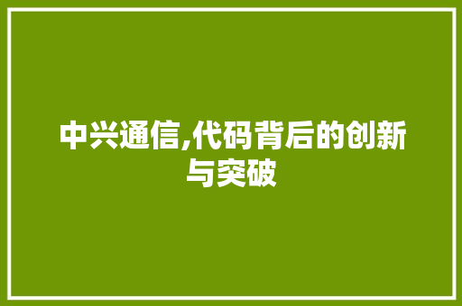 中兴通信,代码背后的创新与突破
