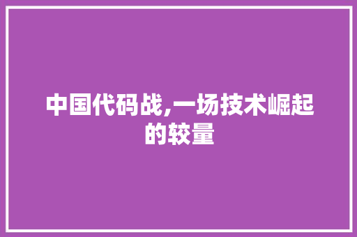 中国代码战,一场技术崛起的较量
